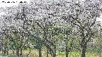takano3-20250506154045.jpg