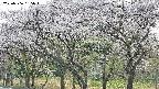 takano3-20250506155044.jpg