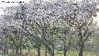 takano3-20250506170044.jpg