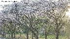 takano3-20250506174043.jpg