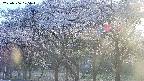 takano3-20250506175044.jpg