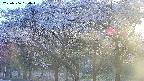 takano3-20250506180043.jpg