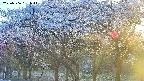 takano3-20250506181042.jpg