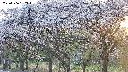 takano3-20250506182044.jpg