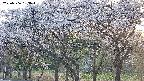 takano3-20250506183043.jpg