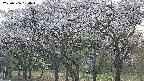 takano3-20250506184044.jpg
