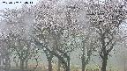 takano3-20250507050043.jpg