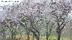 takano3-20250507051043.jpg