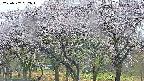 takano3-20250507052043.jpg