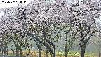 takano3-20250507053042.jpg