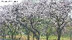 takano3-20250507054043.jpg