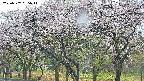 takano3-20250507055042.jpg