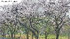 takano3-20250507060043.jpg