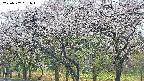 takano3-20250507061045.jpg