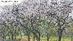 takano3-20250507062044.jpg