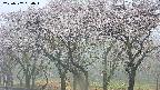 takano3-20250507064044.jpg