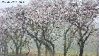 takano3-20250507065044.jpg