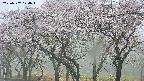 takano3-20250507074044.jpg