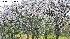 takano3-20250507093046.jpg