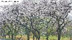 takano3-20250507094043.jpg