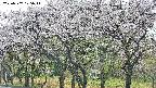 takano3-20250507105045.jpg