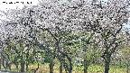 takano3-20250507111045.jpg