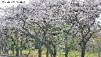 takano3-20250507114044.jpg