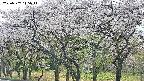 takano3-20250507115043.jpg