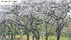 takano3-20250507120044.jpg