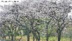 takano3-20250507123045.jpg