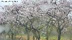 takano3-20250507142043.jpg