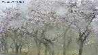 takano3-20250507143043.jpg