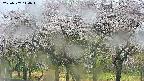 takano3-20250507144045.jpg