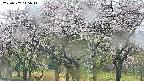 takano3-20250507145045.jpg