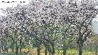takano3-20250507151043.jpg