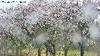 takano3-20250507153043.jpg