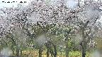 takano3-20250507154042.jpg