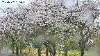 takano3-20250507155044.jpg