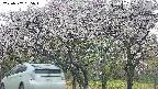 takano3-20250507165045.jpg