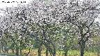 takano3-20250507171046.jpg