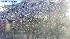 takano3-20250507175045.jpg