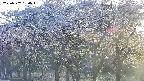 takano3-20250507180045.jpg