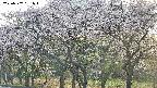 takano3-20250507181045.jpg