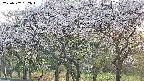 takano3-20250507182047.jpg