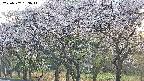 takano3-20250507183046.jpg