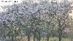 takano3-20250507184044.jpg