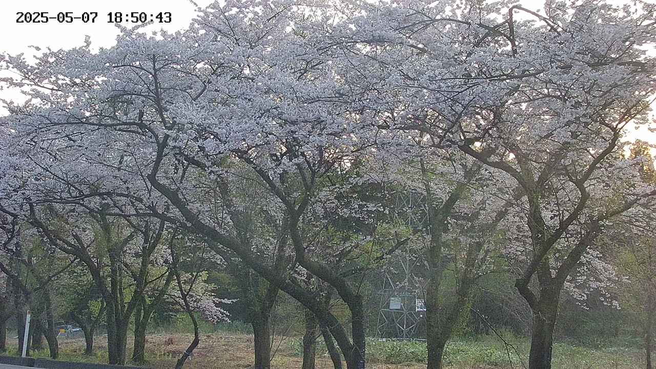 takano3-20250507185044.jpg