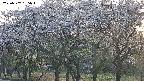 takano3-20250507185044.jpg