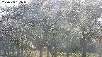 takano3-20250508163046.jpg
