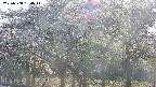 takano3-20250508164045.jpg